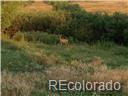 02 E Cherry Creek Road Larkspur CO 80118