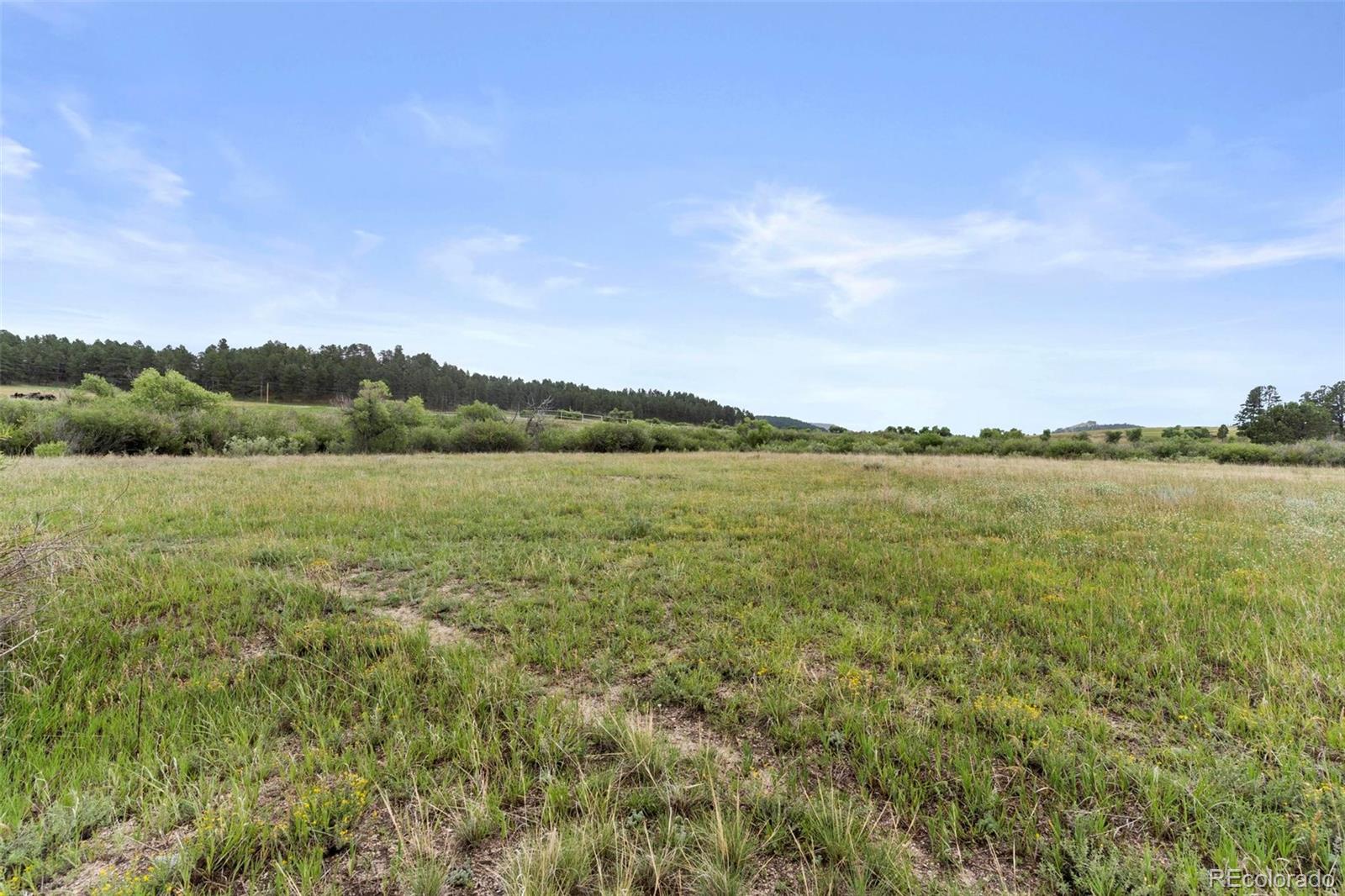 02 E Cherry Creek Road Larkspur CO 80118