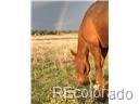 02 E Cherry Creek Road Larkspur CO 80118