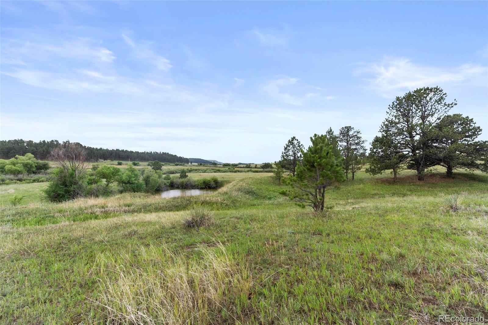 02 E Cherry Creek Road Larkspur CO 80118