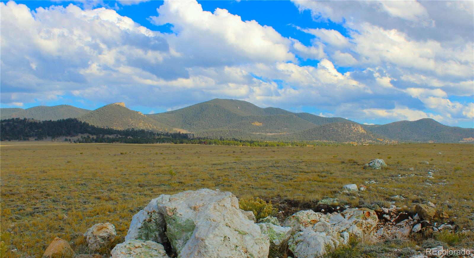 893 Rocky Mountain Road Hartsel CO 80449