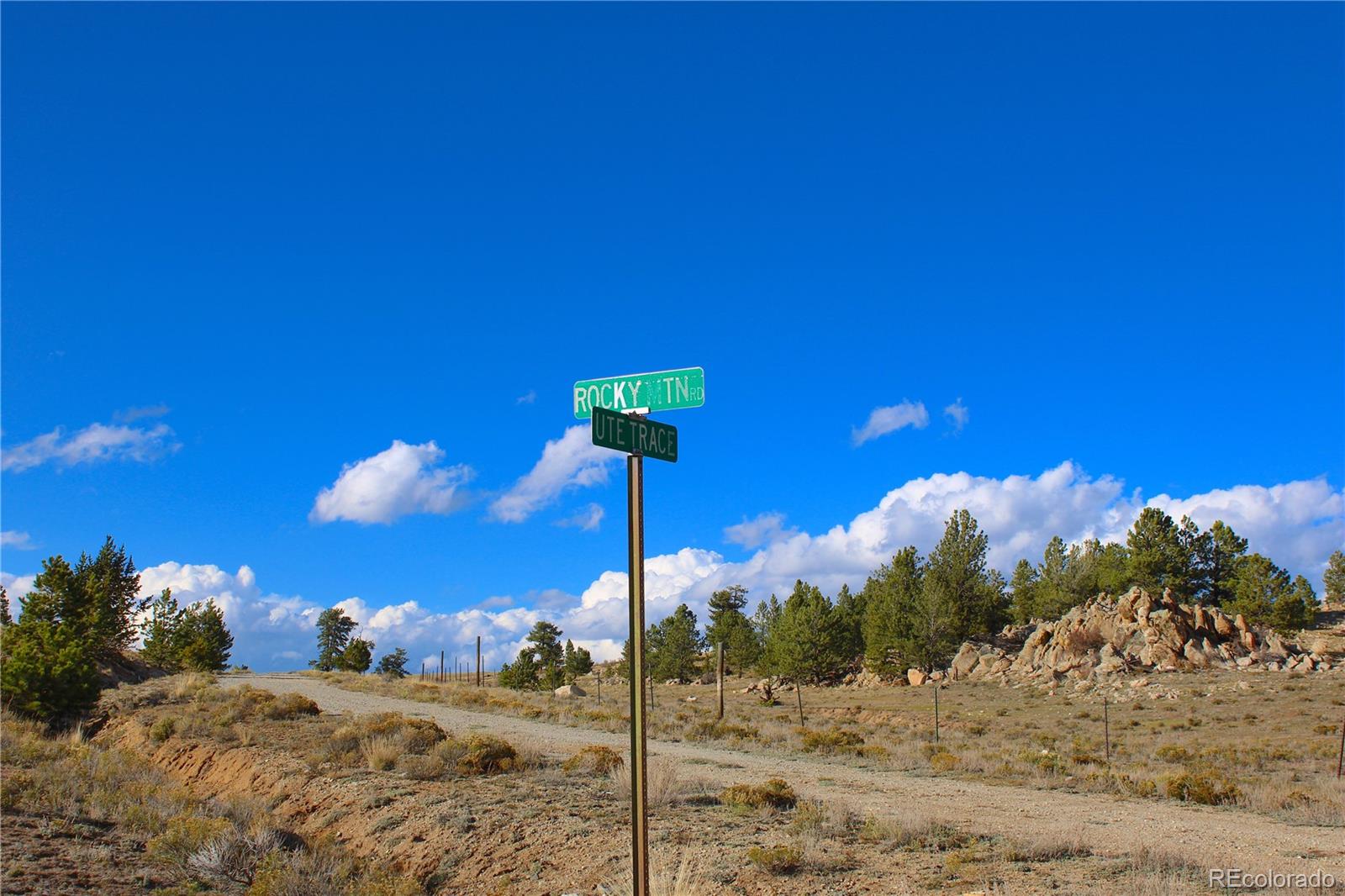 893 Rocky Mountain Road Hartsel CO 80449