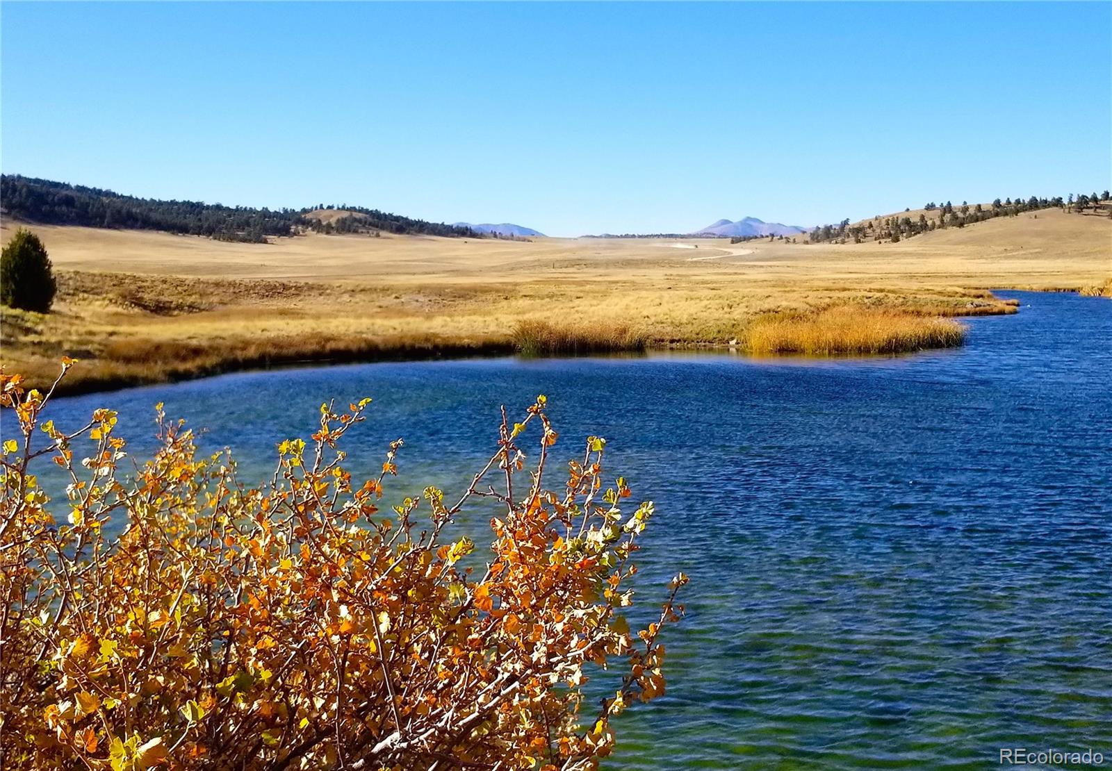 893 Rocky Mountain Road Hartsel CO 80449