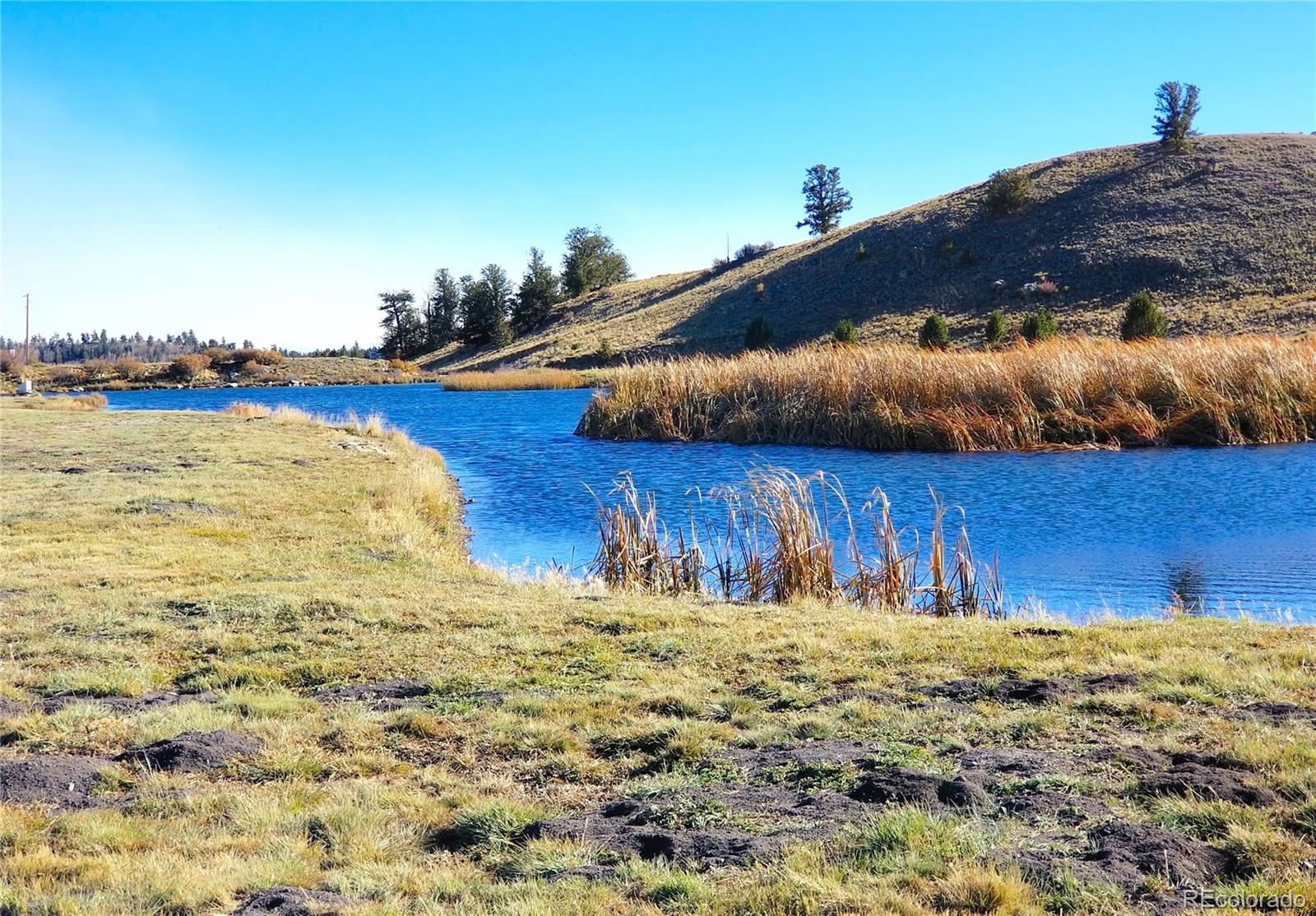 893 Rocky Mountain Road Hartsel CO 80449