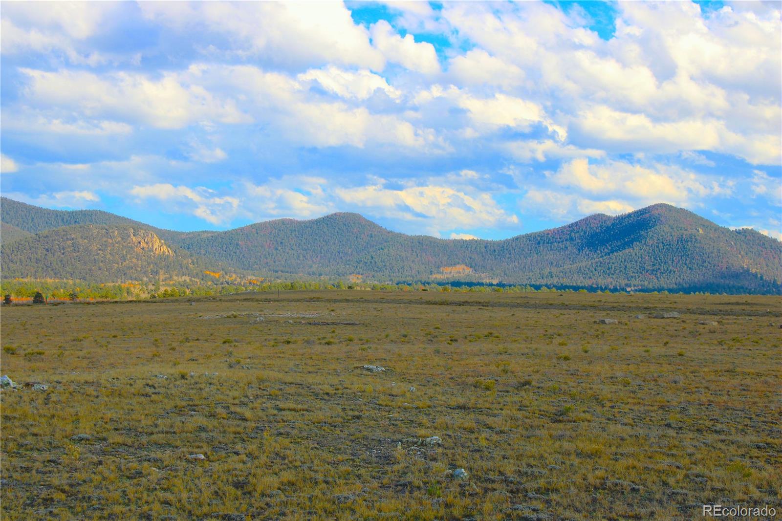893 Rocky Mountain Road Hartsel CO 80449