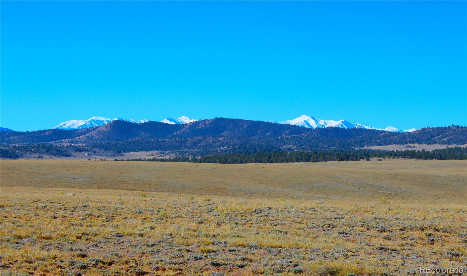 893 Rocky Mountain Road Hartsel CO 80449
