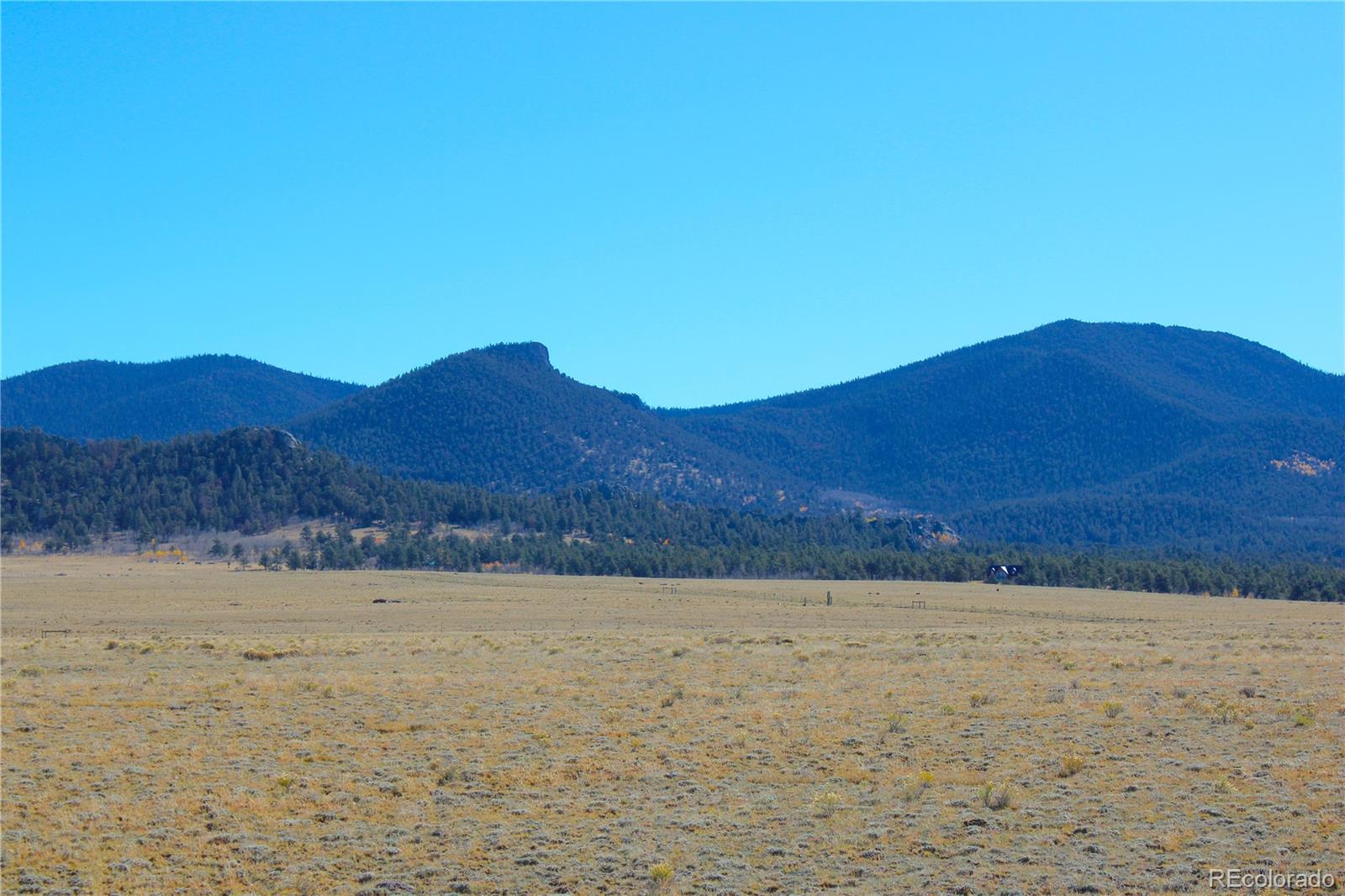 893 Rocky Mountain Road Hartsel CO 80449