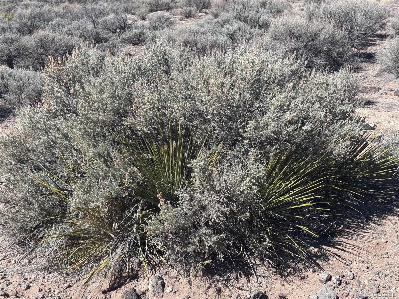 Lot 1 Fifth Street Blanca CO 81123