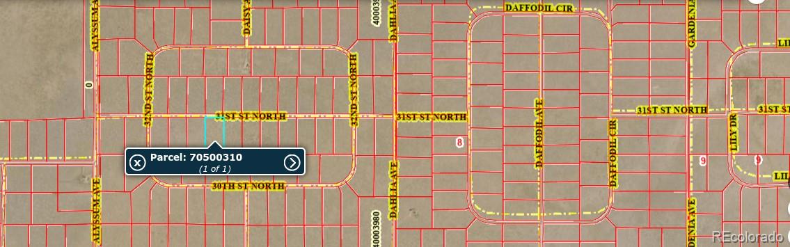 Lot 8 31st Street Blanca CO 81123