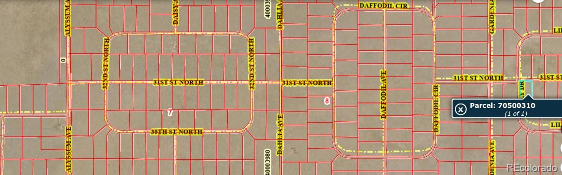 Lot 8 31st Street Blanca CO 81123