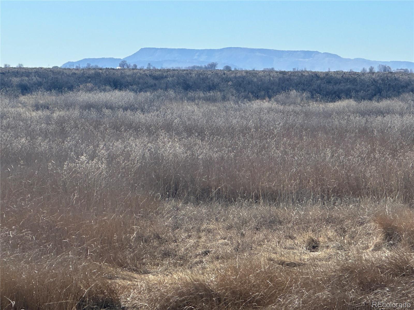 Douglas Drive Alamosa CO 81101