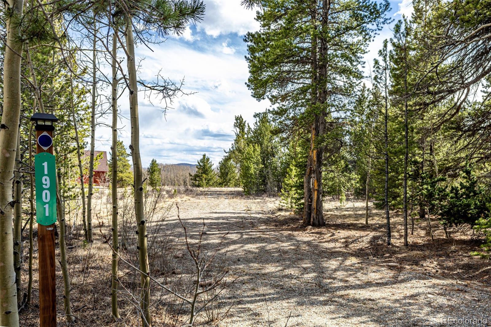 901 Bluestem Way Fairplay CO 80440