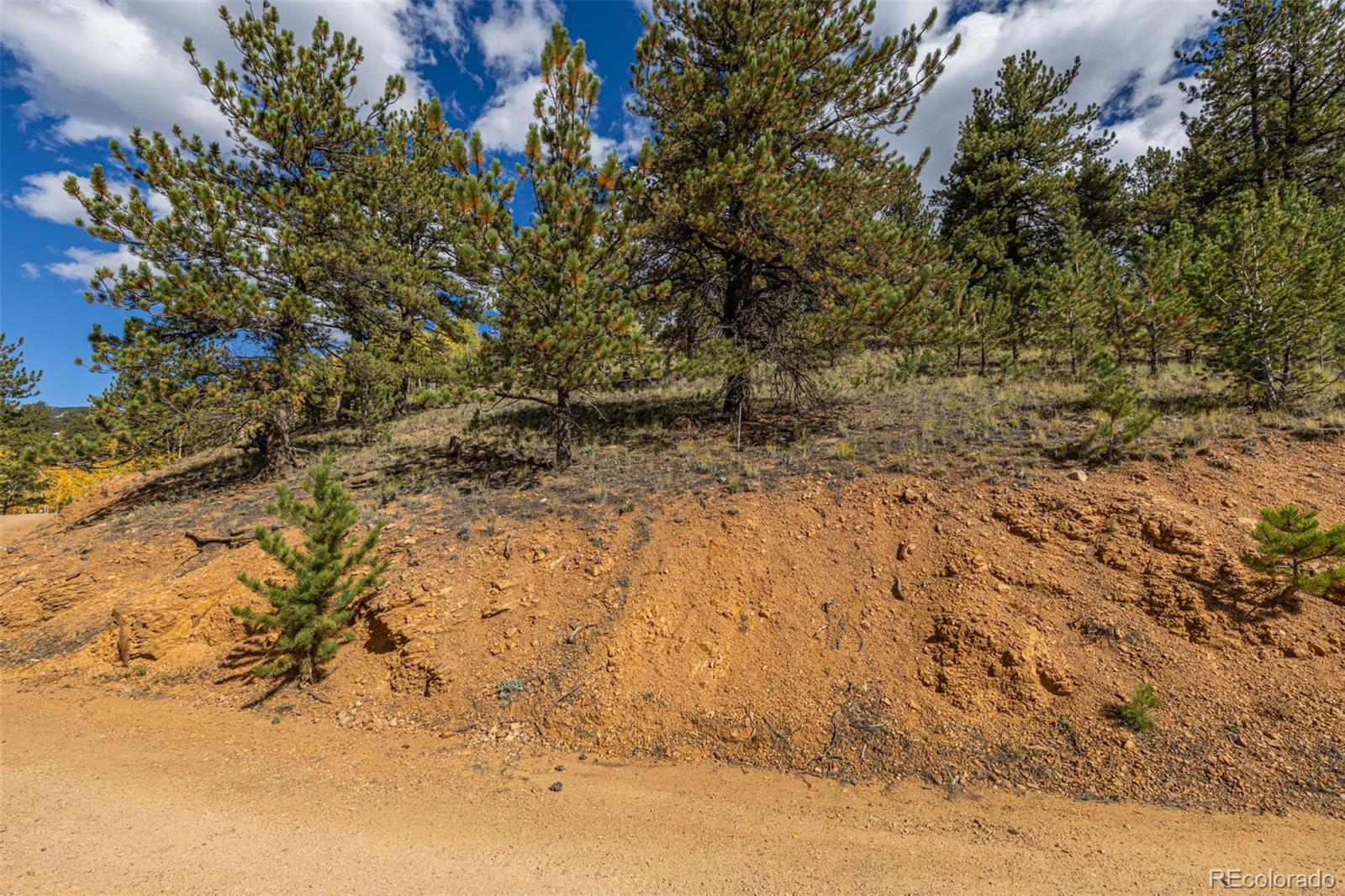 103 Gross Road Bailey CO 80421