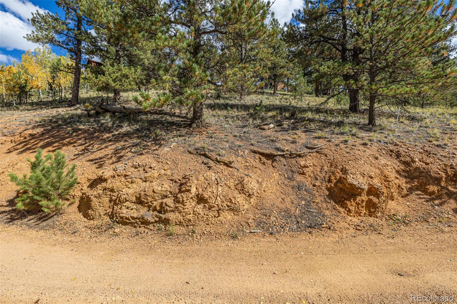 103 Gross Road Bailey CO 80421