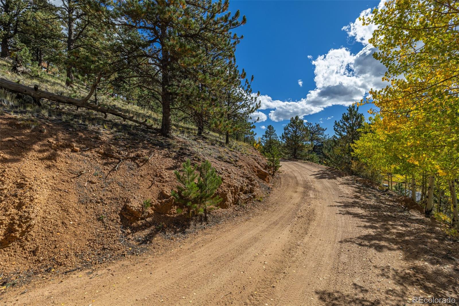 103 Gross Road Bailey CO 80421