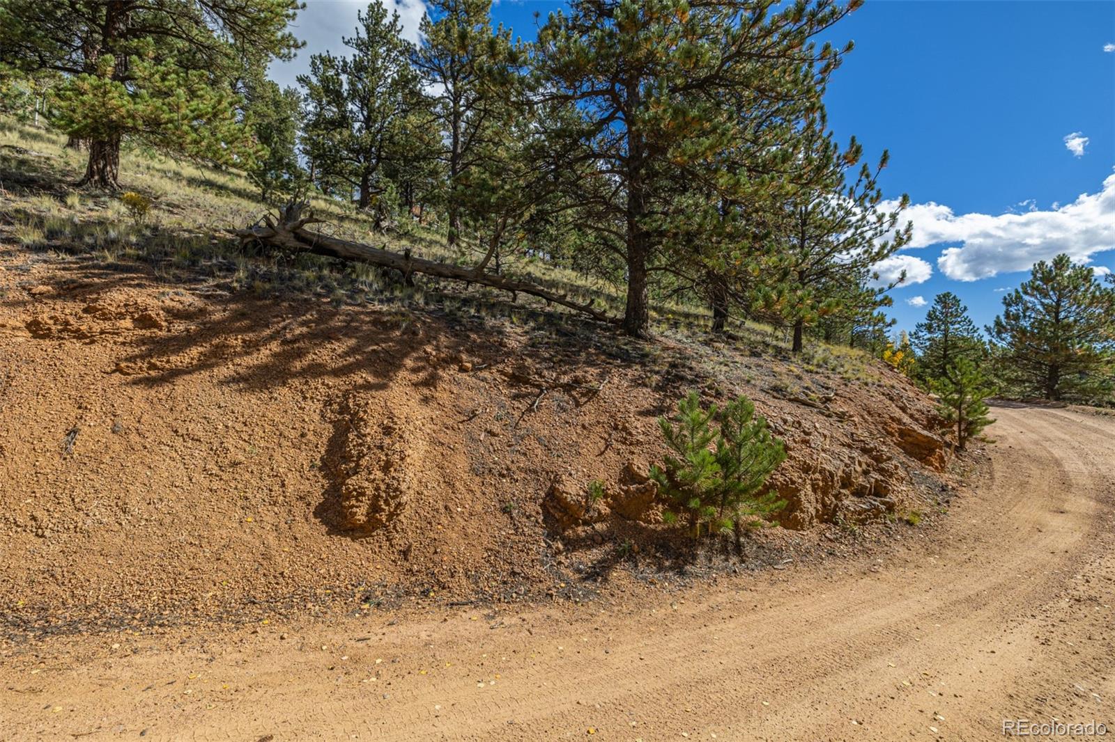 103 Gross Road Bailey CO 80421