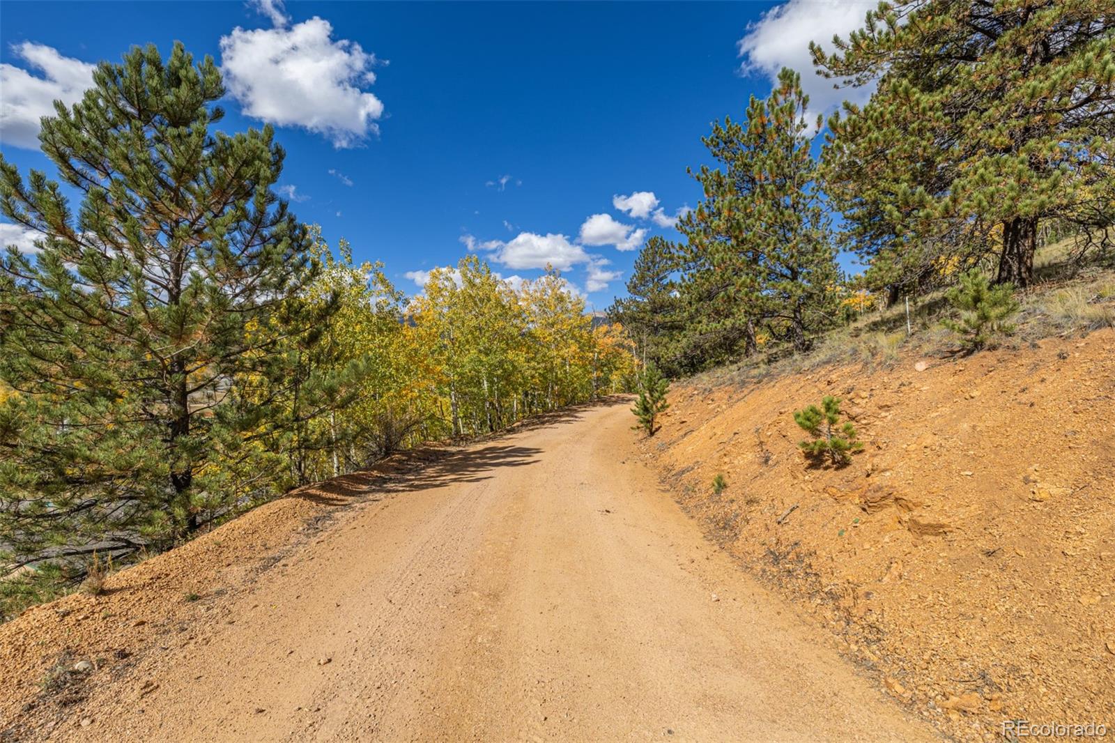 103 Gross Road Bailey CO 80421