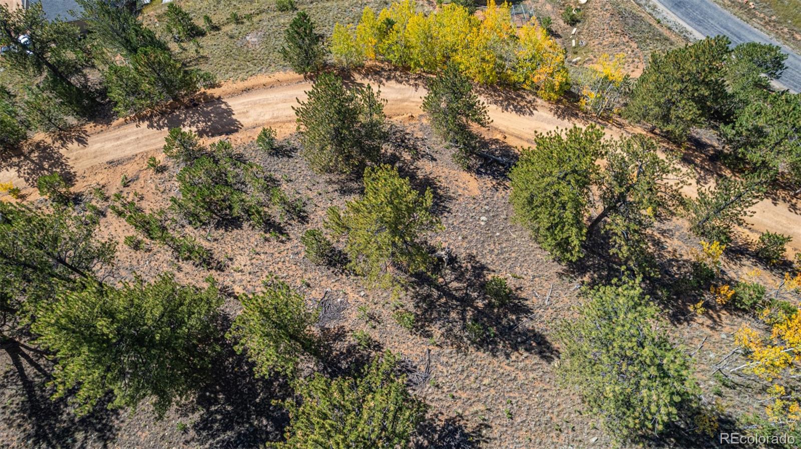 103 Gross Road Bailey CO 80421
