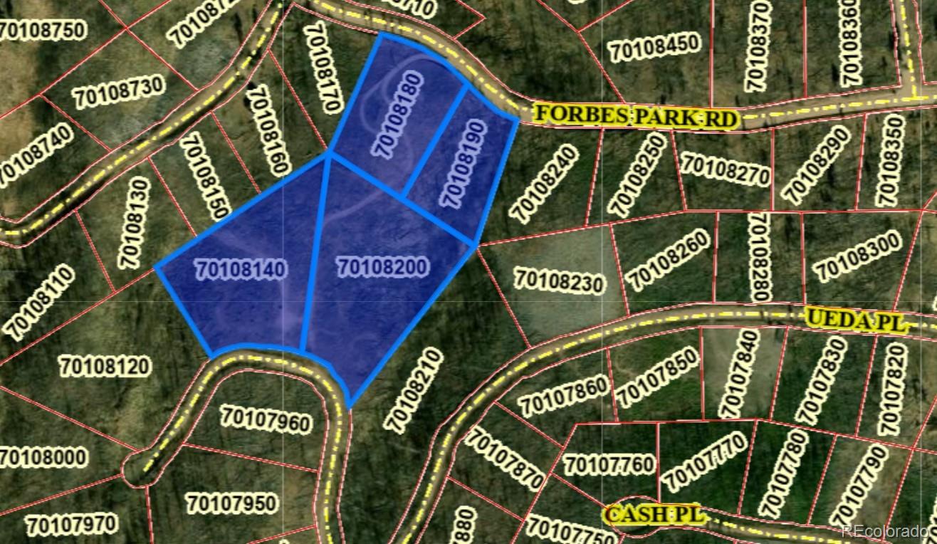904,908,909,910 Forbes Park Road & Ueda Place Fort Garland CO 81133