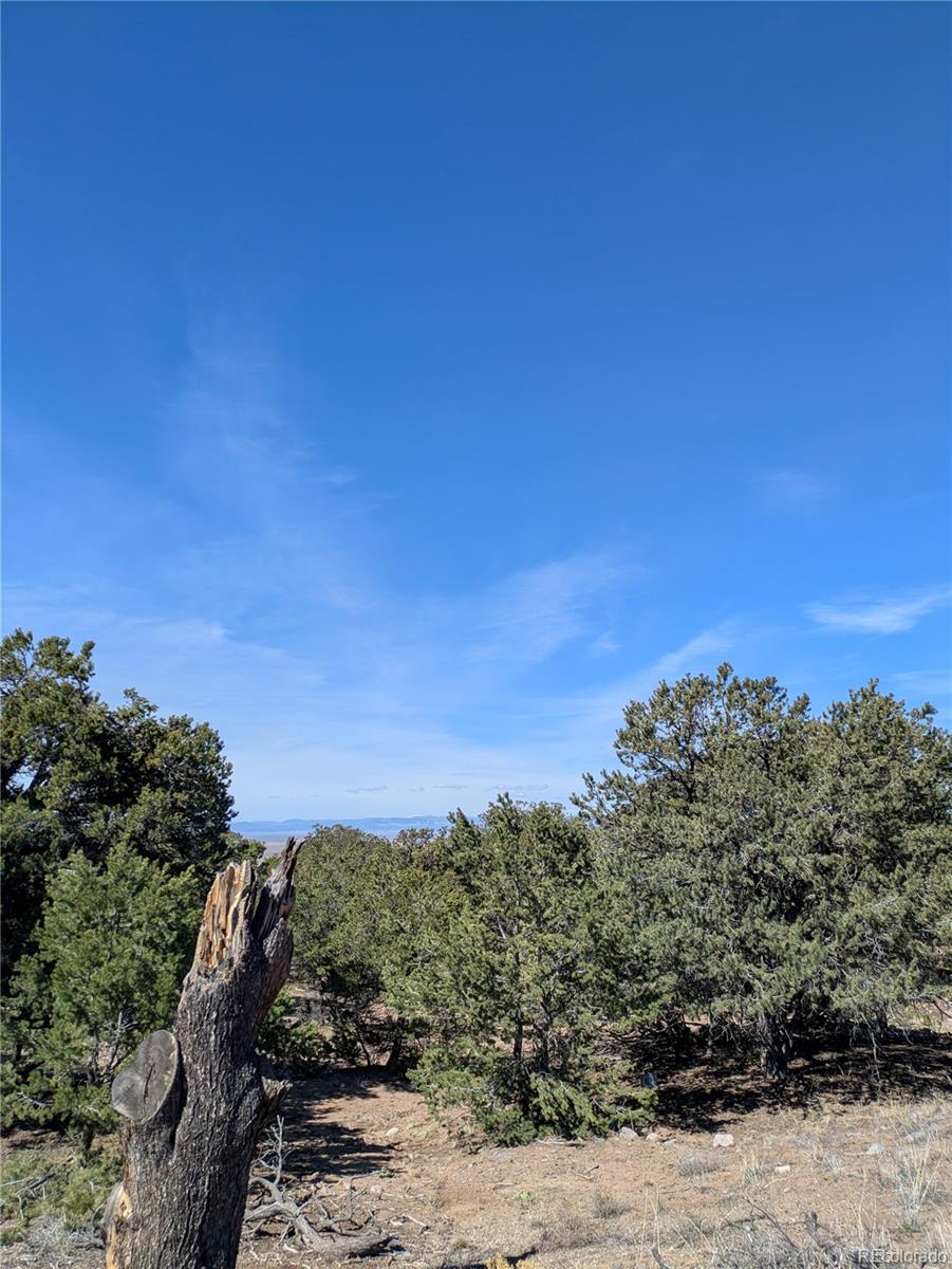 606 Peaceful Overlook Crestone CO 81131