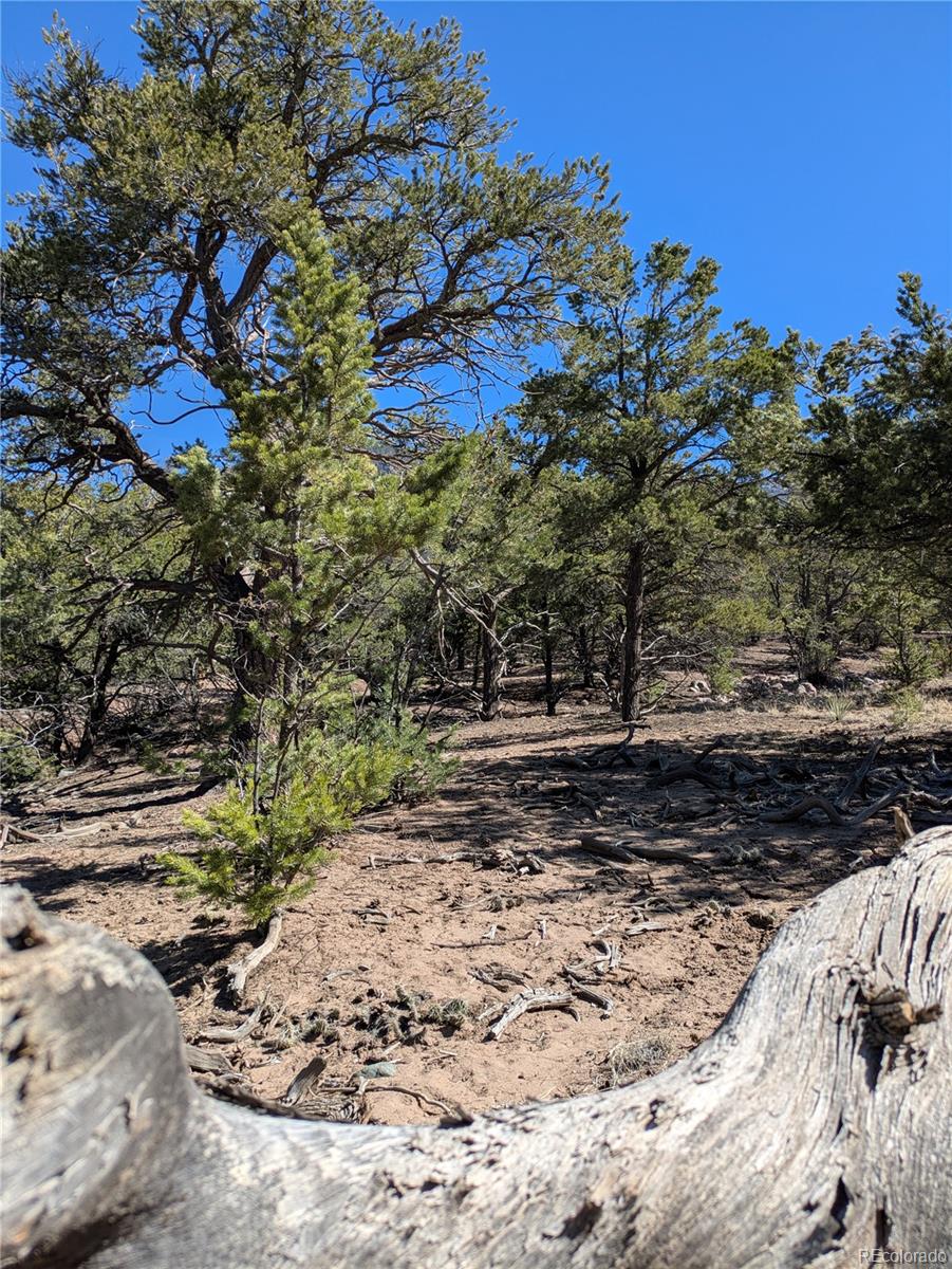 606 Peaceful Overlook Crestone CO 81131