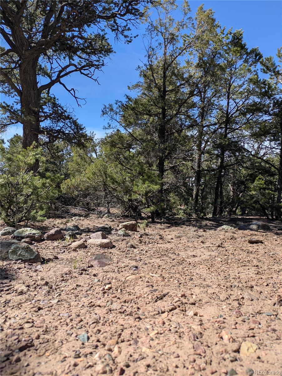 606 Peaceful Overlook Crestone CO 81131
