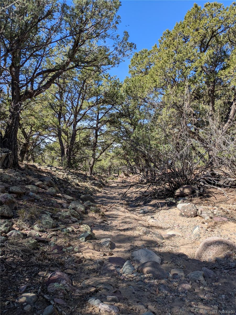 606 Peaceful Overlook Crestone CO 81131