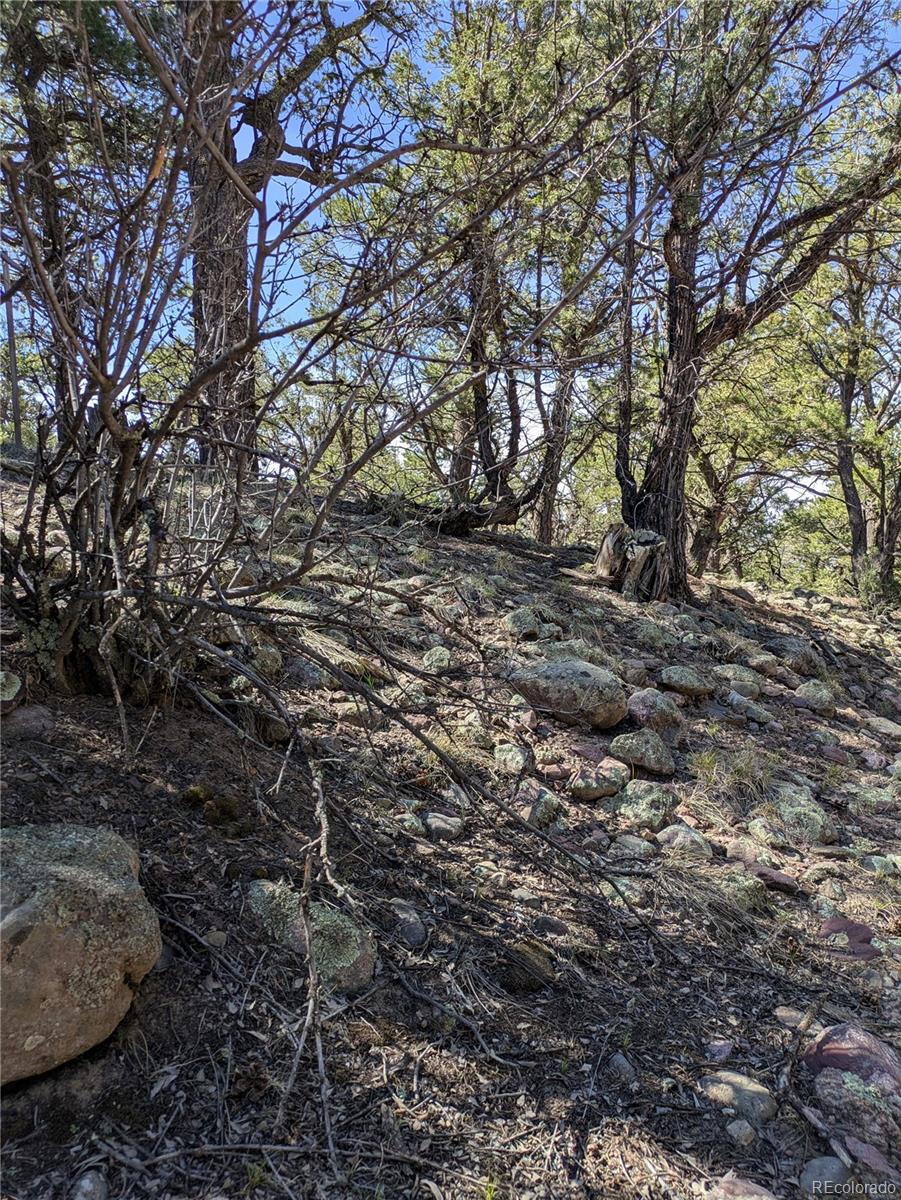 606 Peaceful Overlook Crestone CO 81131