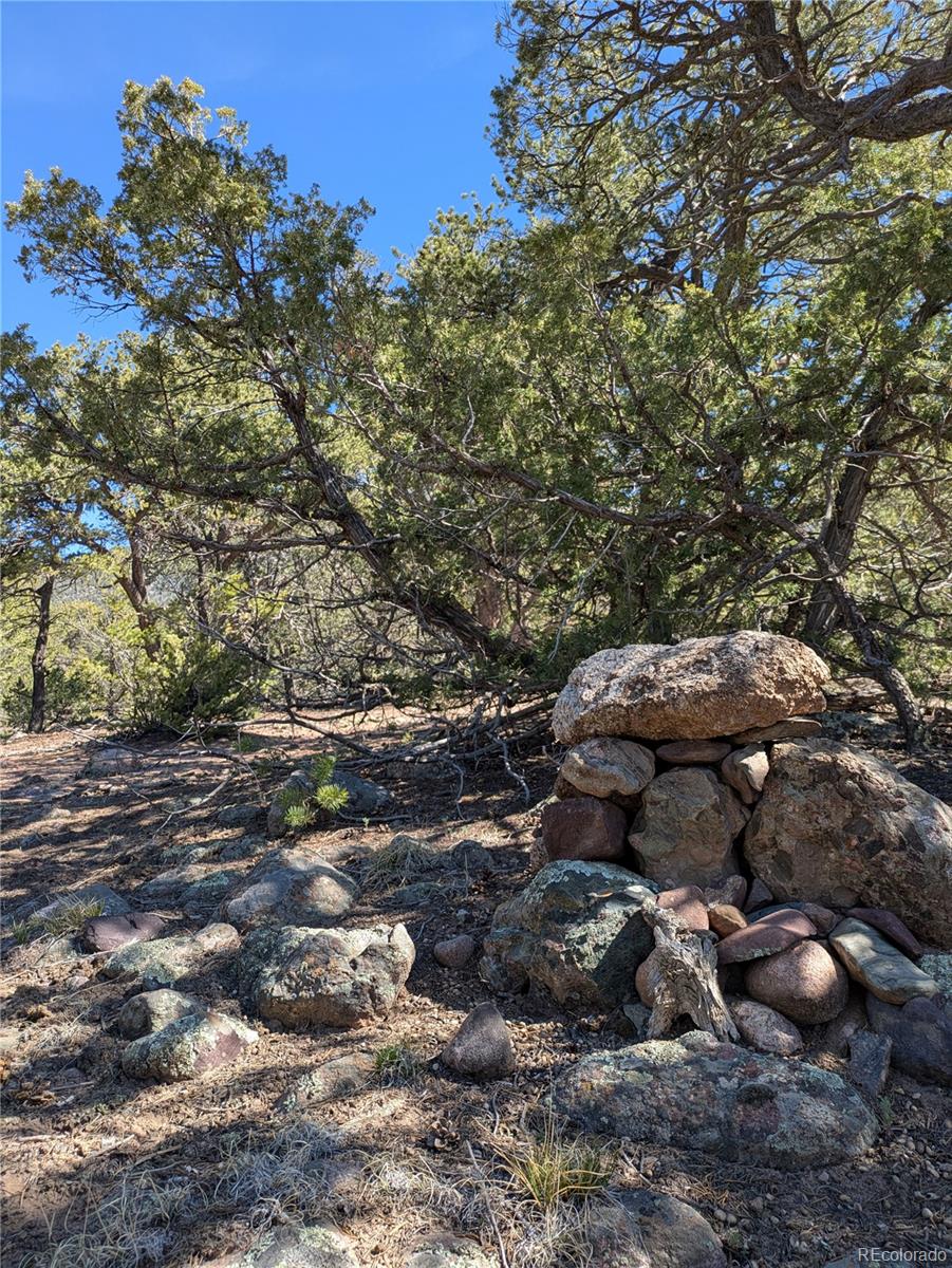 606 Peaceful Overlook Crestone CO 81131