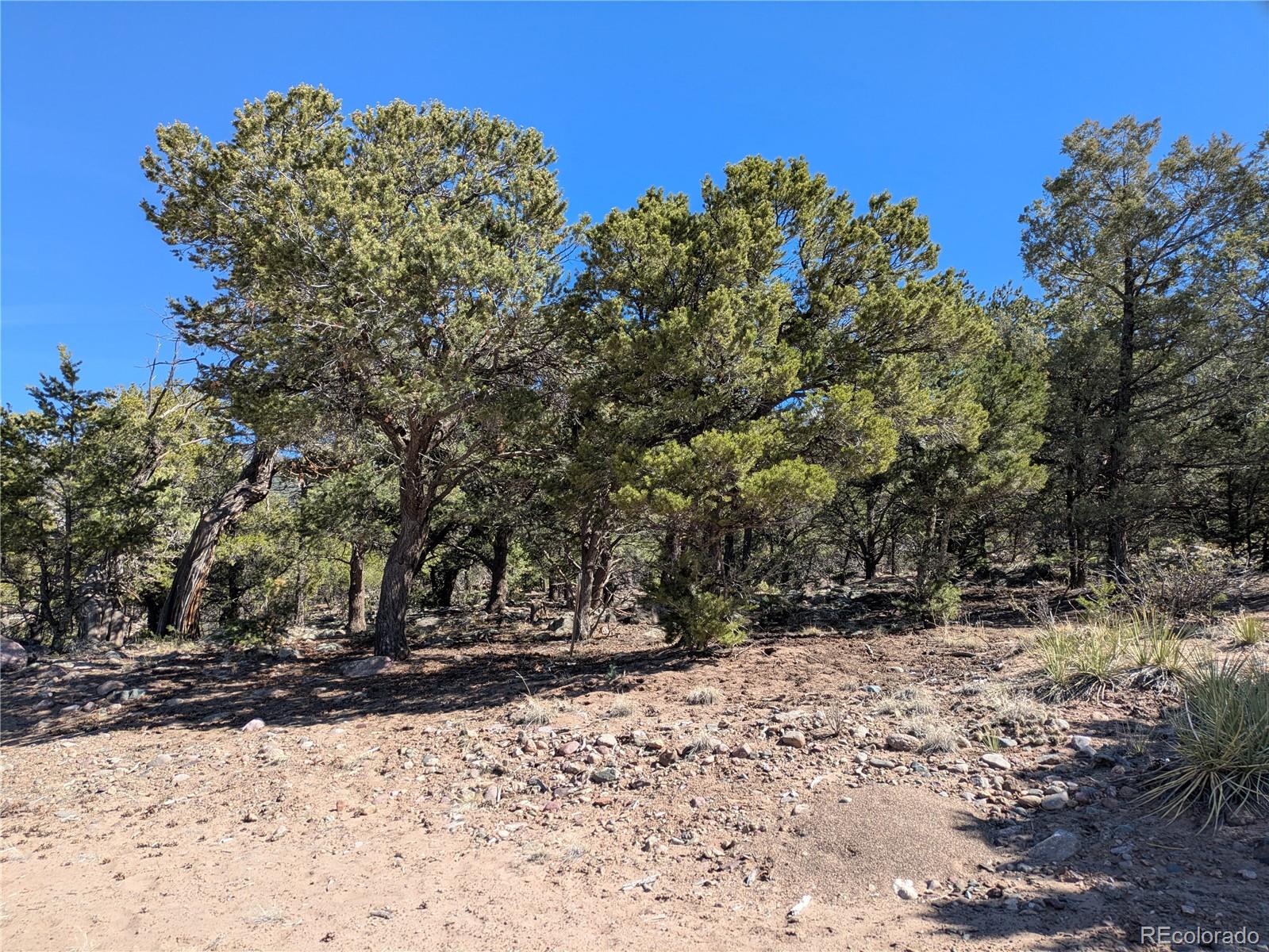 606 Peaceful Overlook Crestone CO 81131