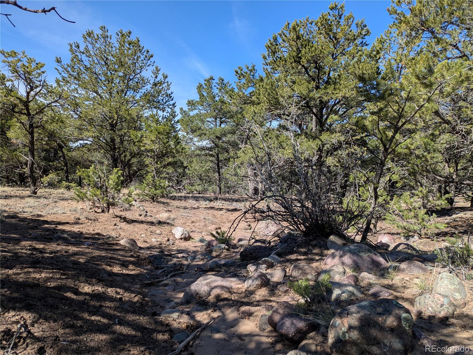 606 Peaceful Overlook Crestone CO 81131