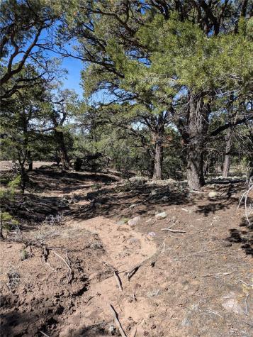 606 Peaceful Overlook Crestone CO 81131
