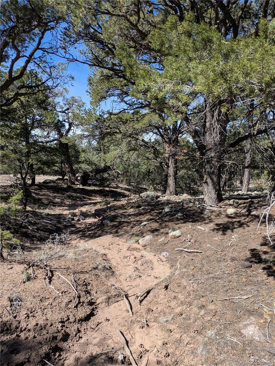 606 Peaceful Overlook Crestone CO 81131