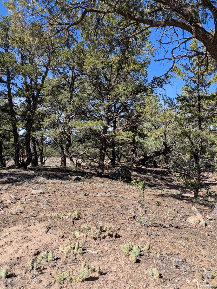 606 Peaceful Overlook Crestone CO 81131