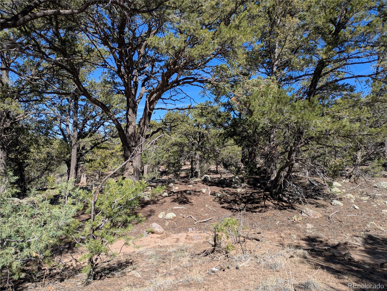 606 Peaceful Overlook Crestone CO 81131