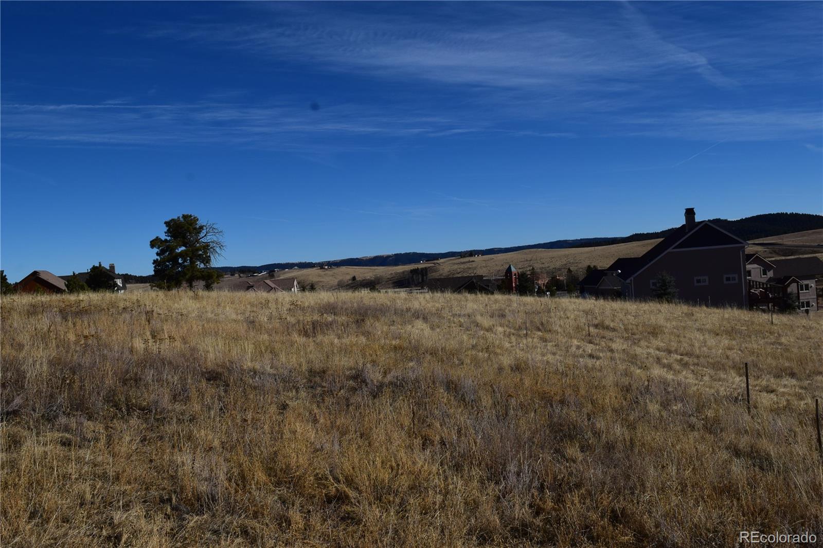 108 Allison Place Divide CO 80814