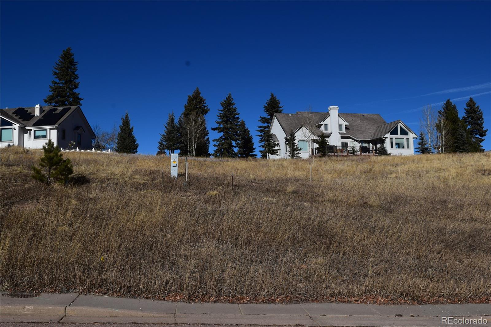 108 Allison Place Divide CO 80814