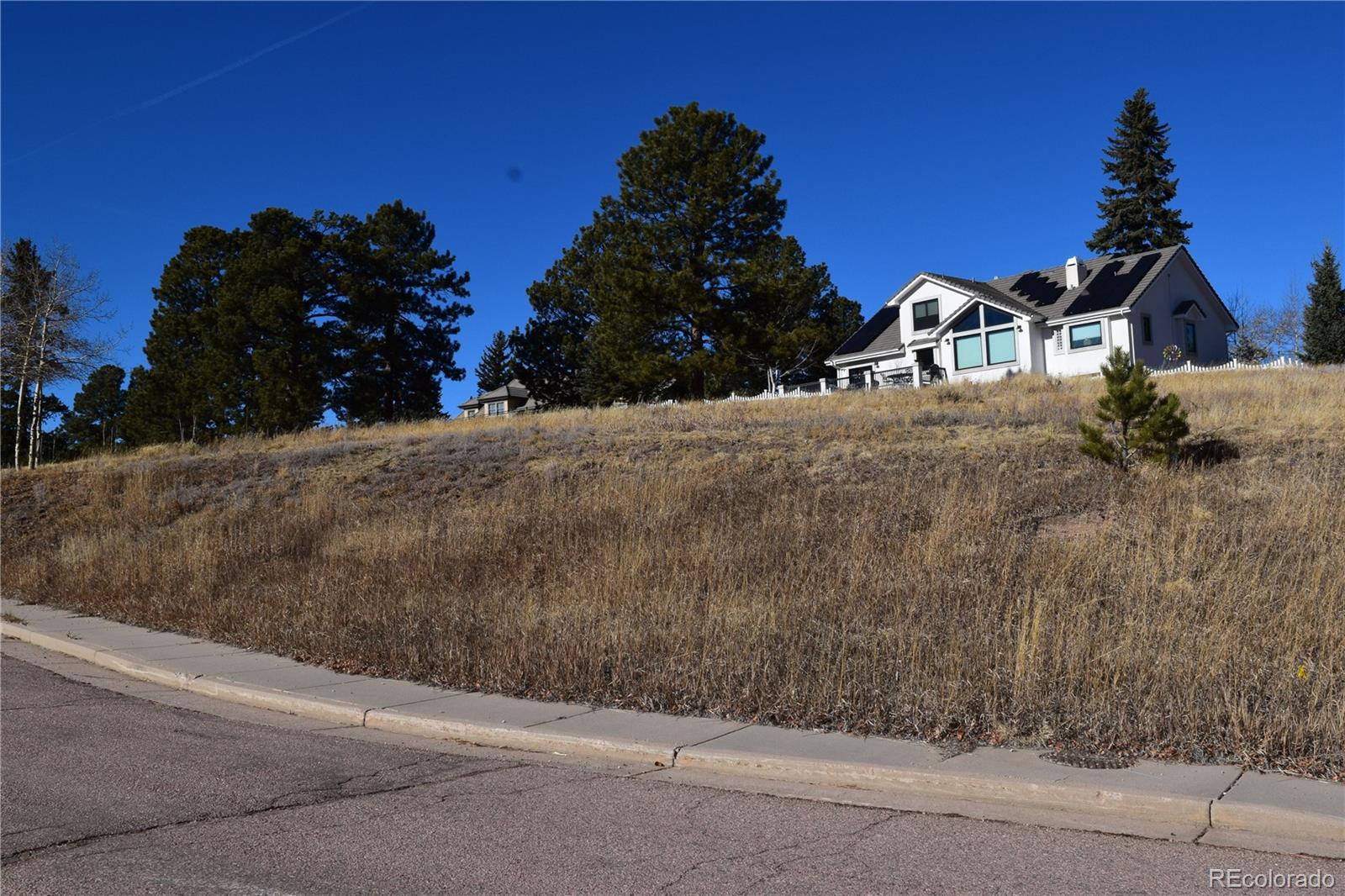 108 Allison Place Divide CO 80814