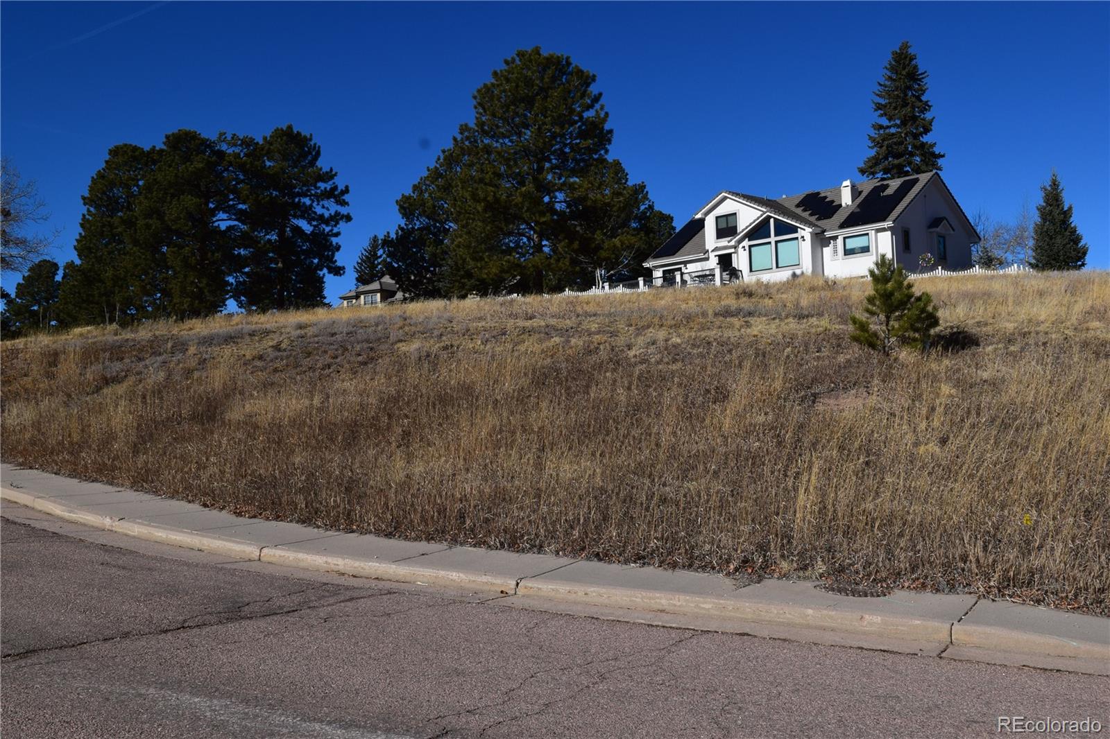 108 Allison Place Divide CO 80814