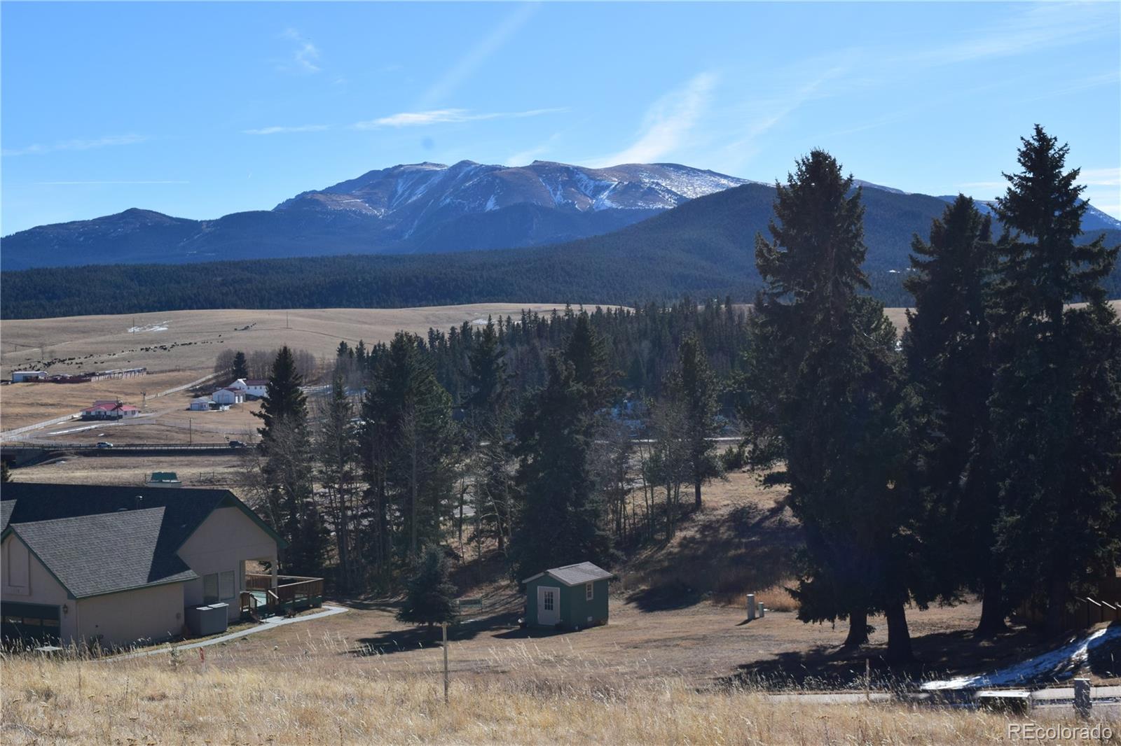 108 Allison Place Divide CO 80814