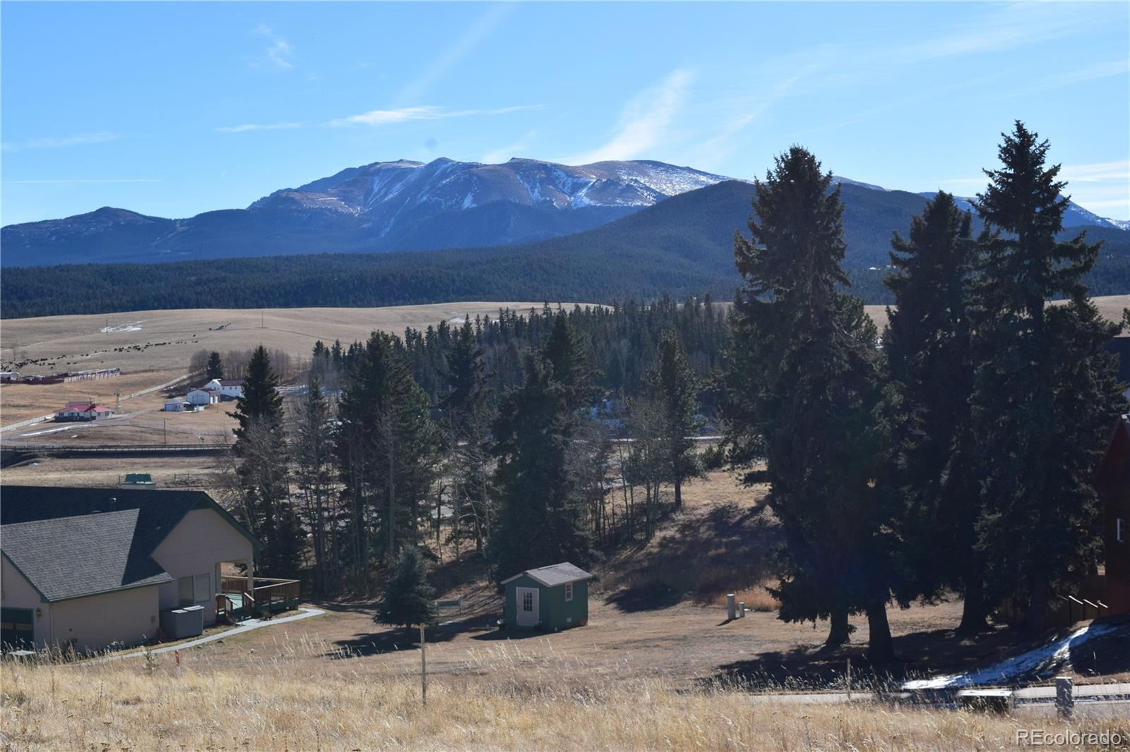 108 Allison Place Divide CO 80814