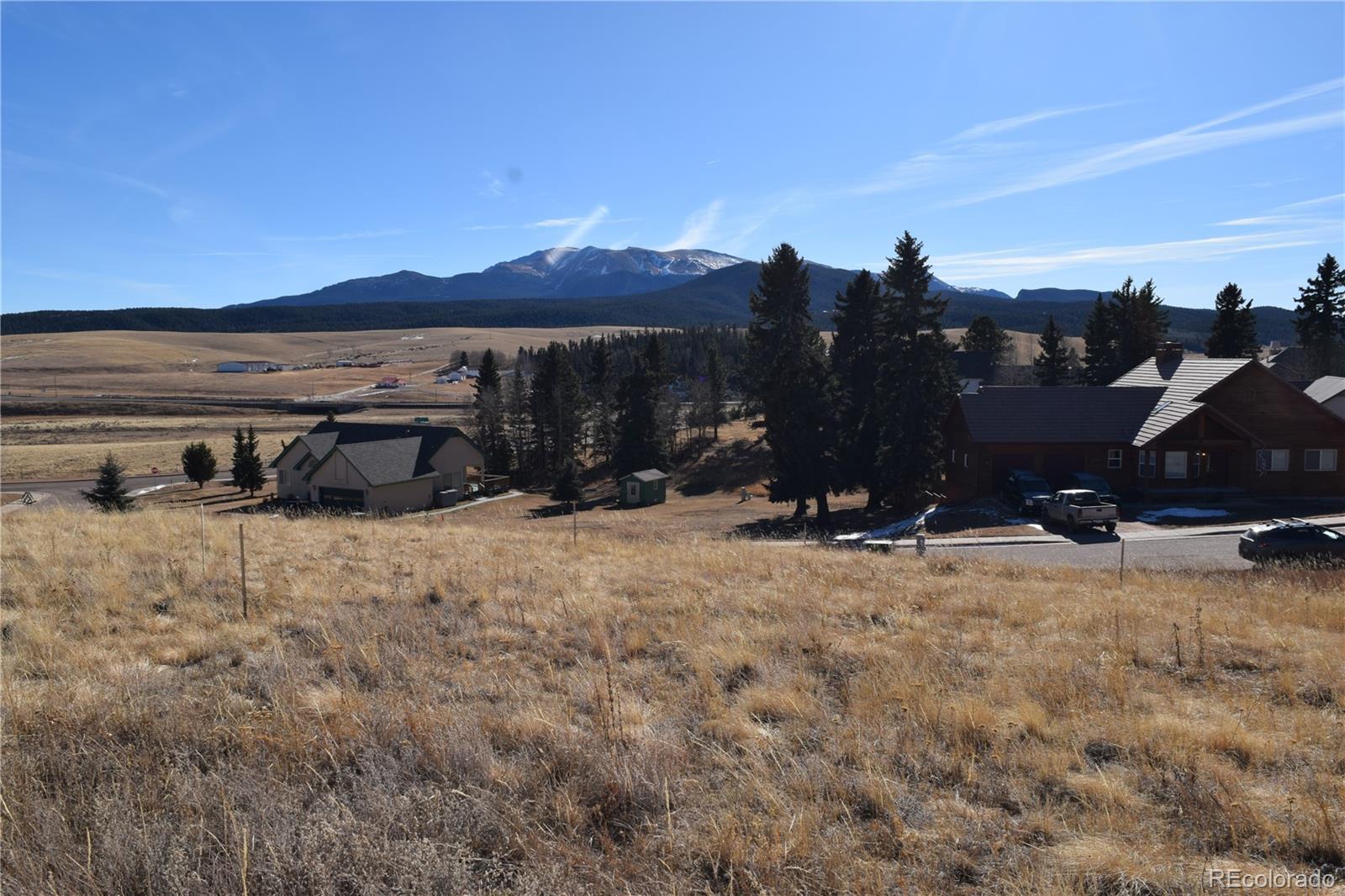 108 Allison Place Divide CO 80814