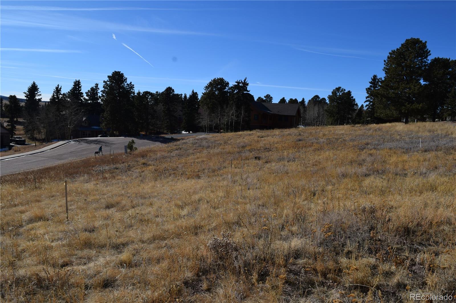 108 Allison Place Divide CO 80814