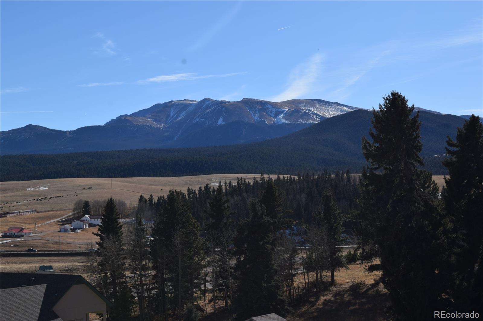 108 Allison Place Divide CO 80814