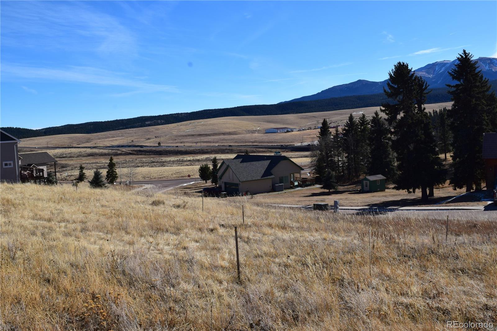 108 Allison Place Divide CO 80814