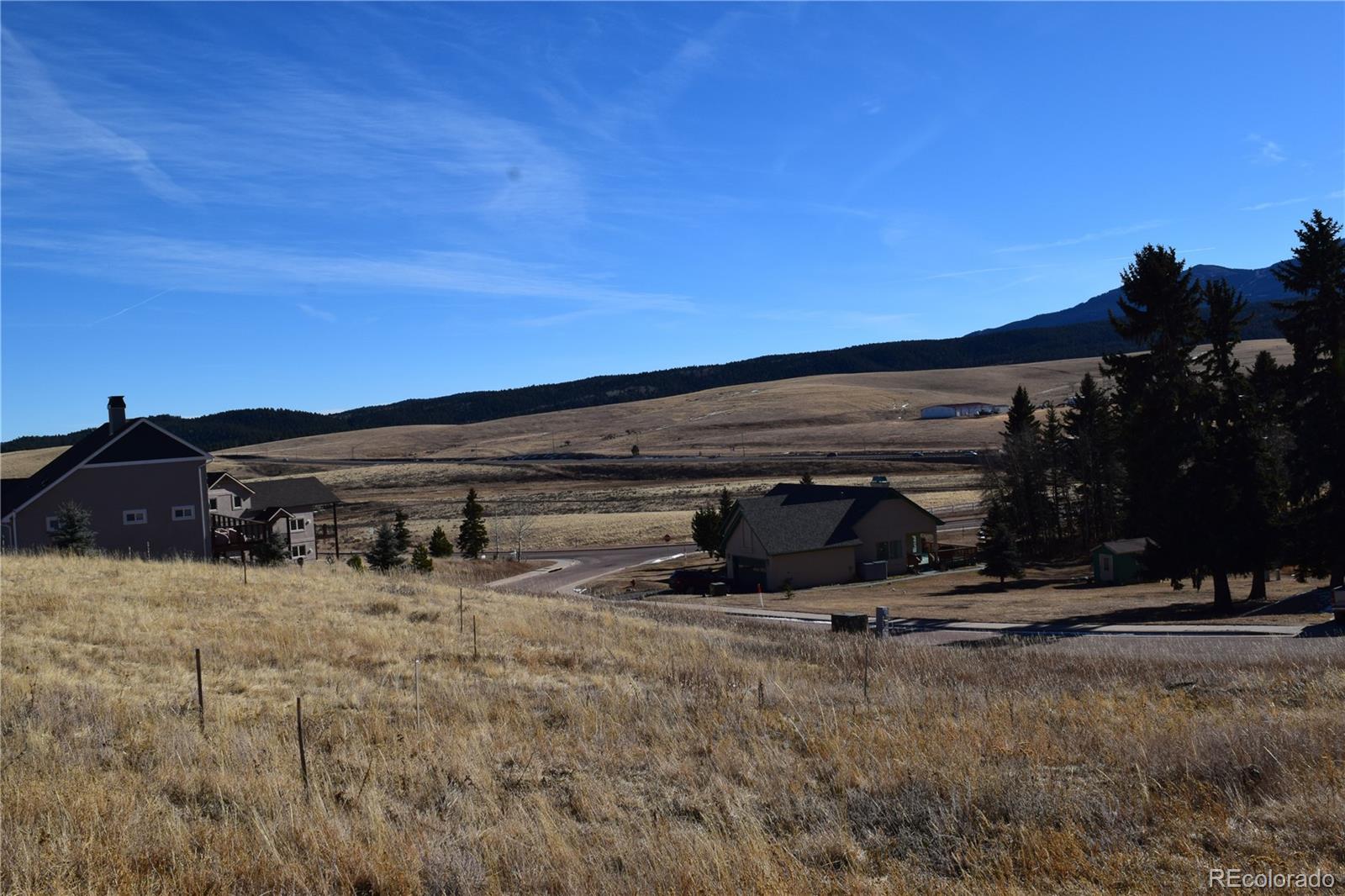 108 Allison Place Divide CO 80814