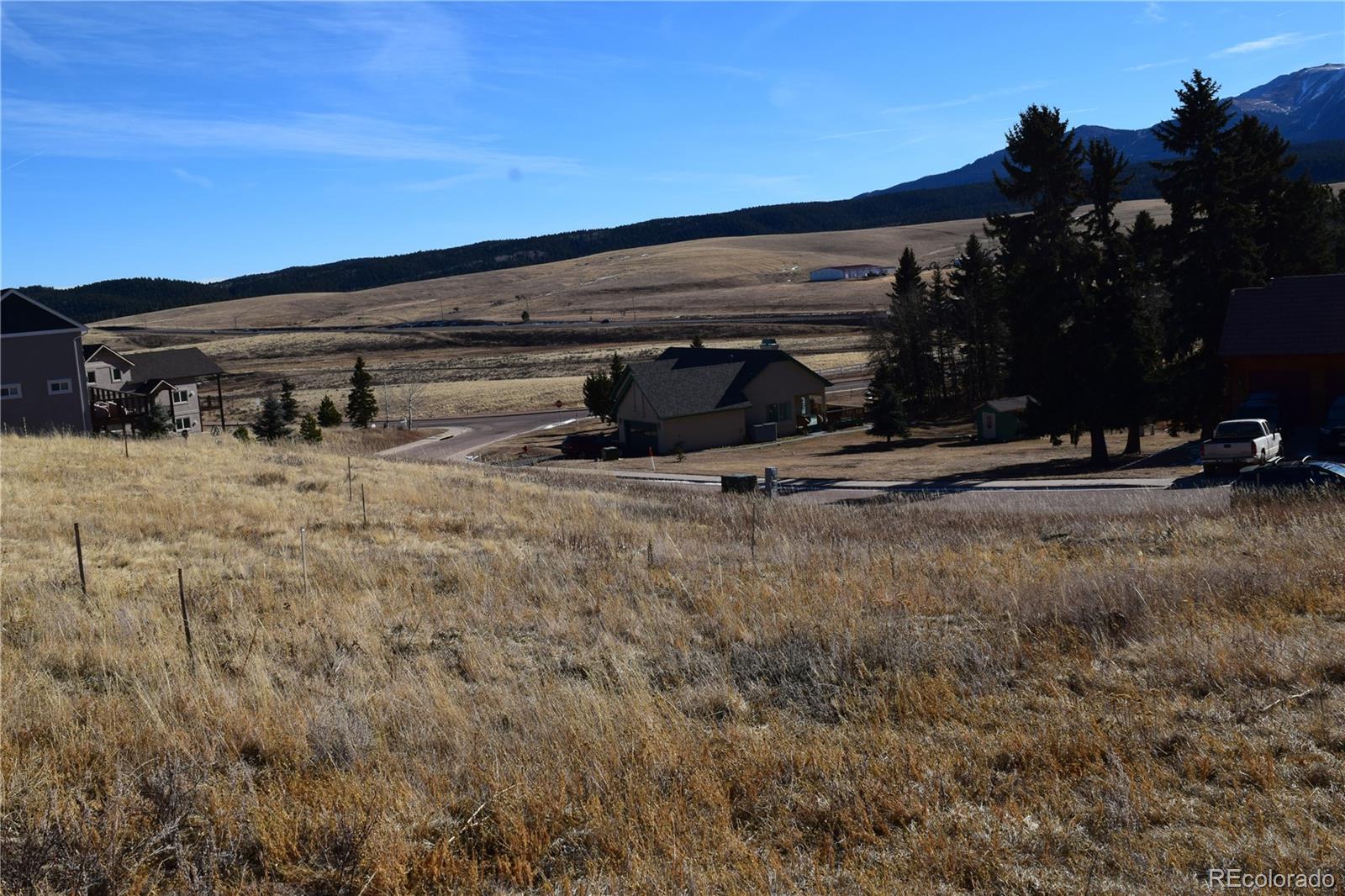 108 Allison Place Divide CO 80814