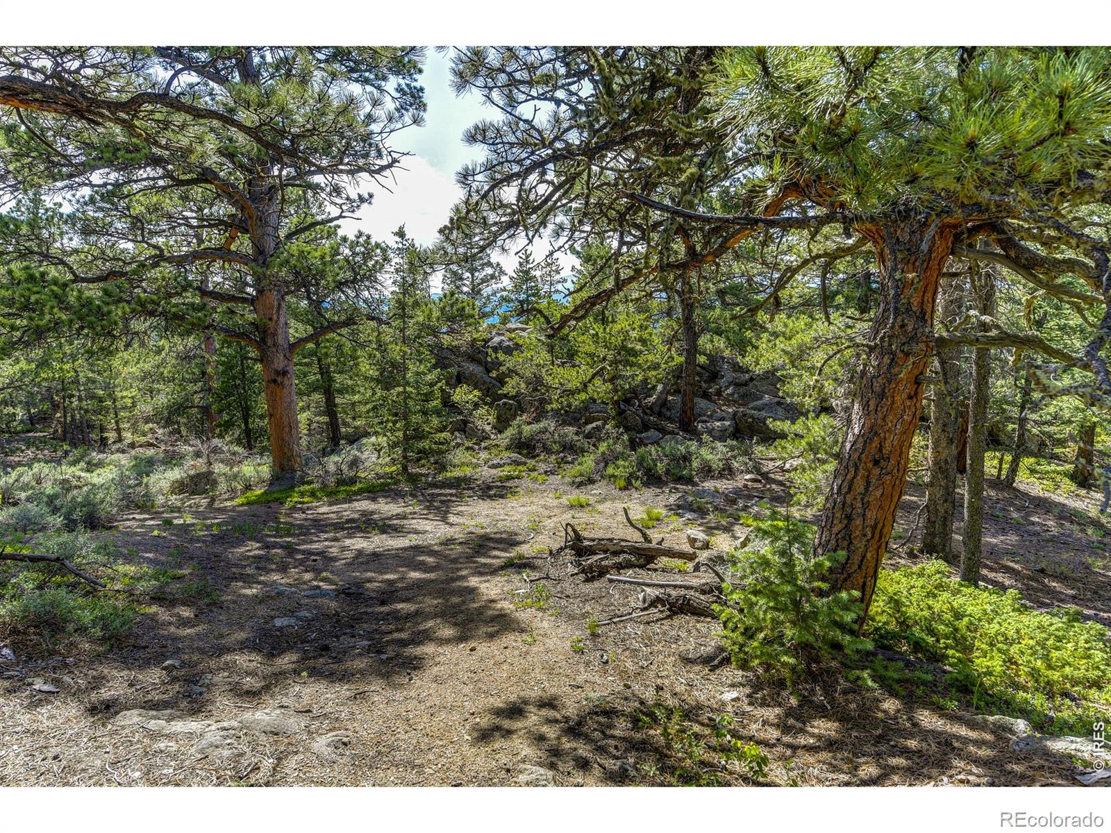 3153 Ridge Road Nederland CO 80466