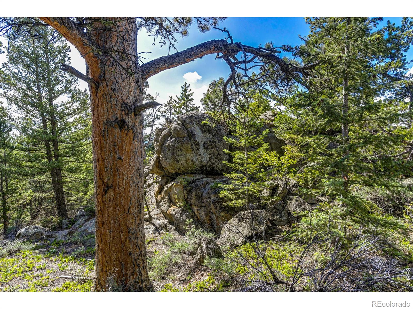 3153 Ridge Road Nederland CO 80466