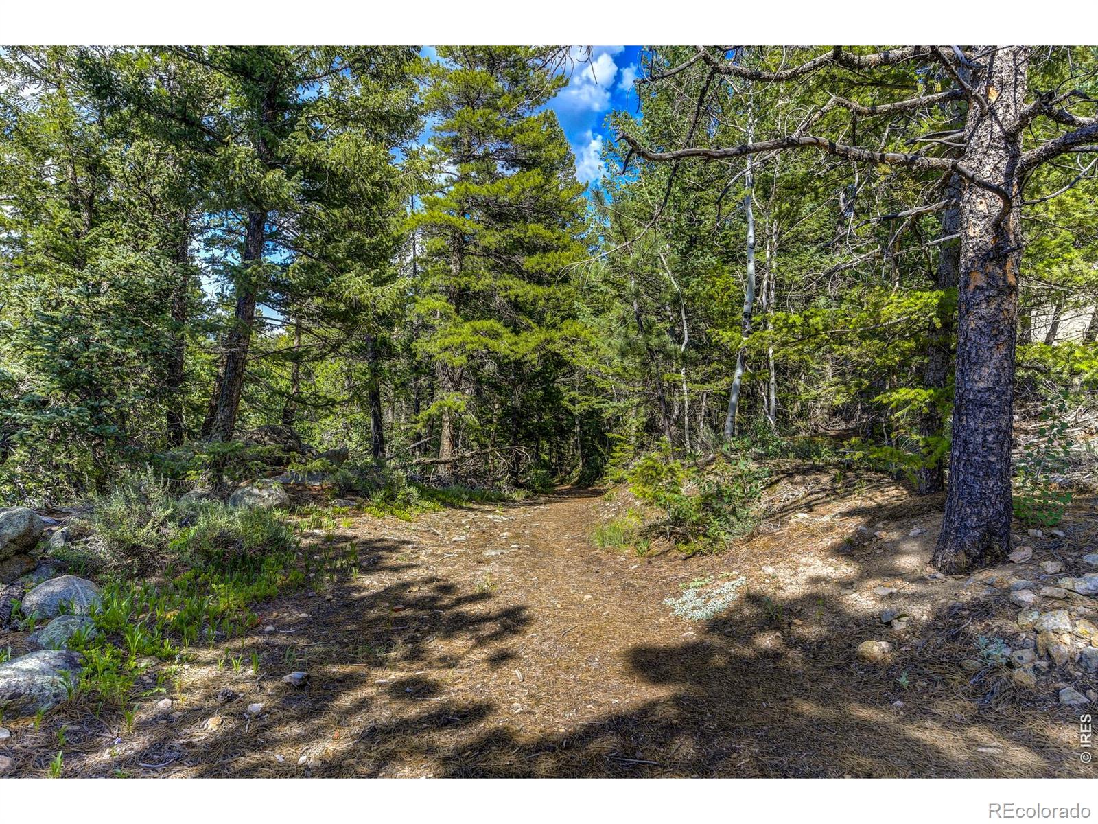 3153 Ridge Road Nederland CO 80466